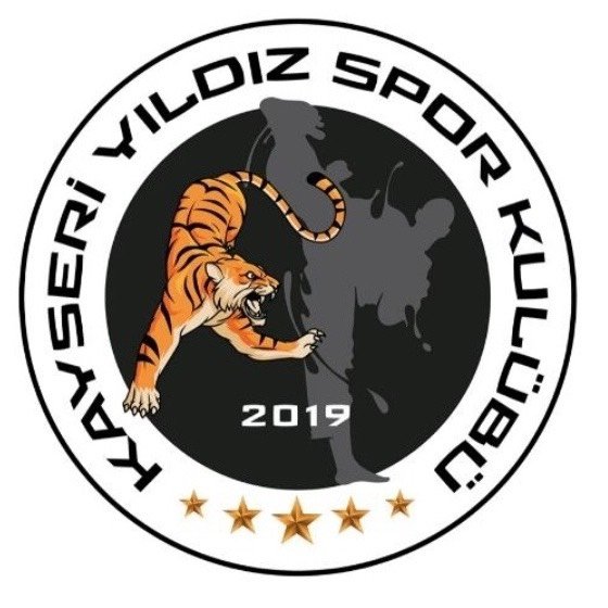 Kayseri Yıldız Spor Kulübü logosu